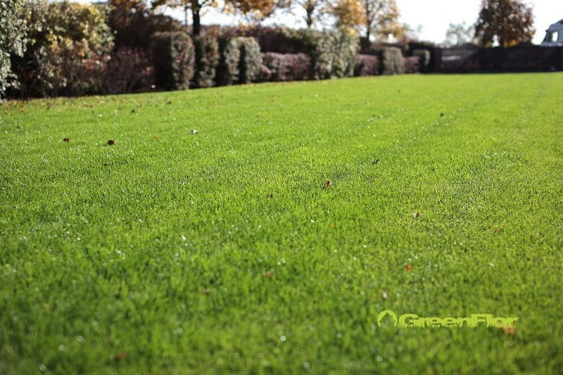 Jaka jest najlepsza pora roku na zakładanie trawnika z rolki?
