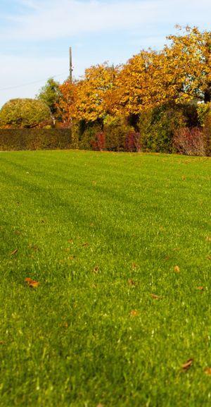 Zasady prawidłowego koszenia trawnika z rolki