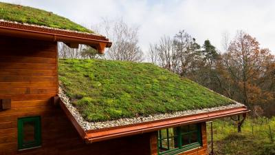 Jakie korzyści zapewnia montaż zielonego dachu?