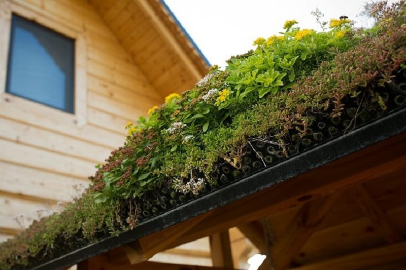Jakie korzyści ekonomiczne zapewnia zielony dach?
