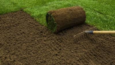 Korzyści z zastosowania trawnika w rolkach
