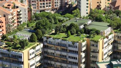 Zielone dachy, a wiatr. Potencjalne zagrożenia