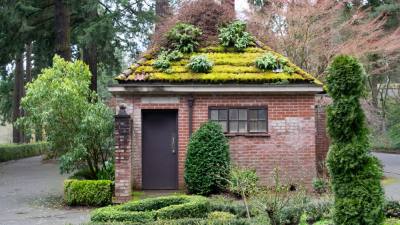 Z jakich elementów składa się ekstensywny system zielonego dachu?