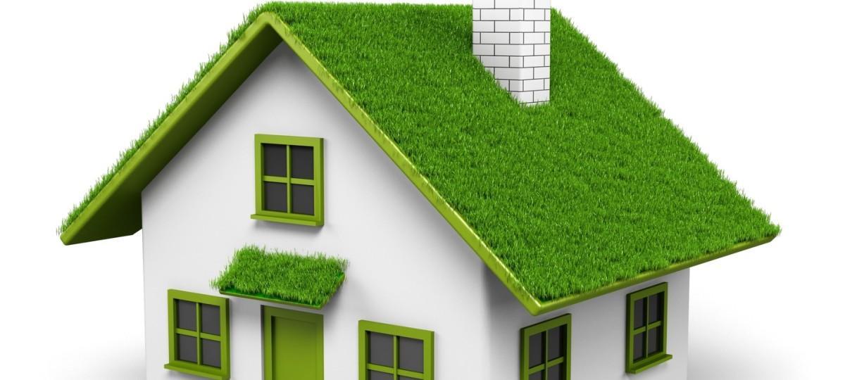 Intensywne i ekstensywne zielone dachy