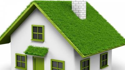 Intensywne i ekstensywne zielone dachy