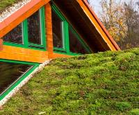 Zalety zielonego dachu